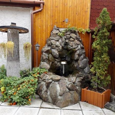 Bed and Breakfast Tulipan Panzio Sfântu-Gheorghe Zewnętrze zdjęcie