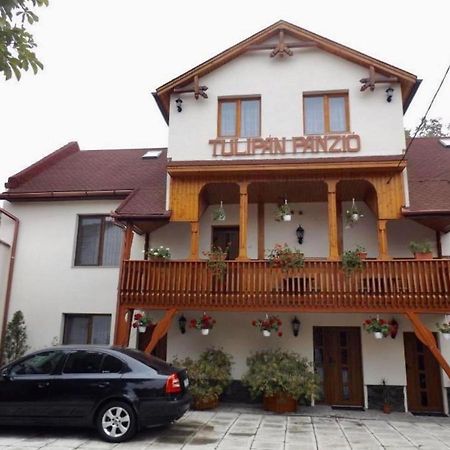 Bed and Breakfast Tulipan Panzio Sfântu-Gheorghe Zewnętrze zdjęcie