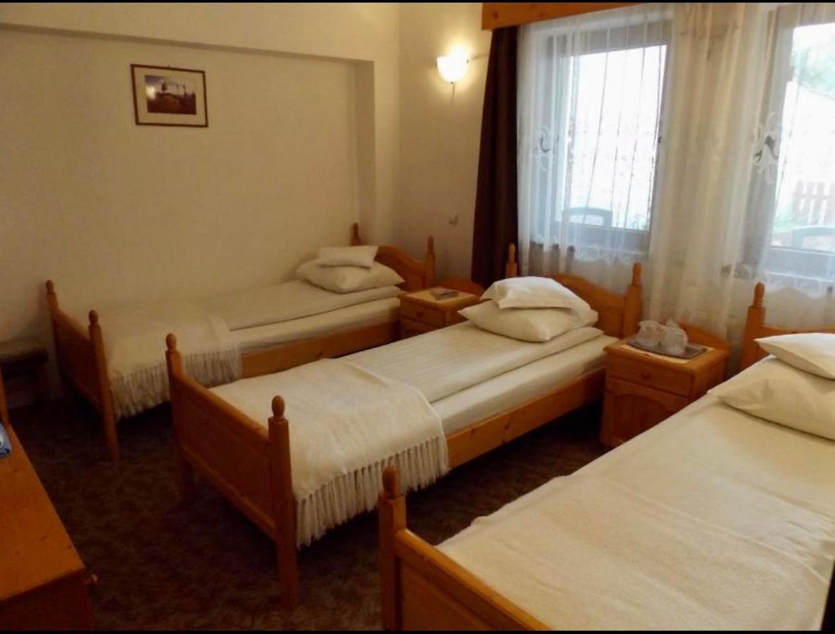 Bed and Breakfast Tulipan Panzio Sfântu-Gheorghe Zewnętrze zdjęcie