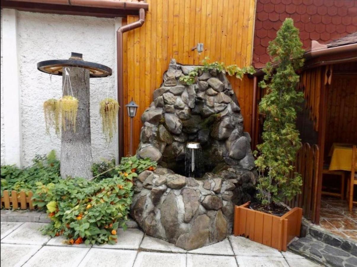 Bed and Breakfast Tulipan Panzio Sfântu-Gheorghe Zewnętrze zdjęcie