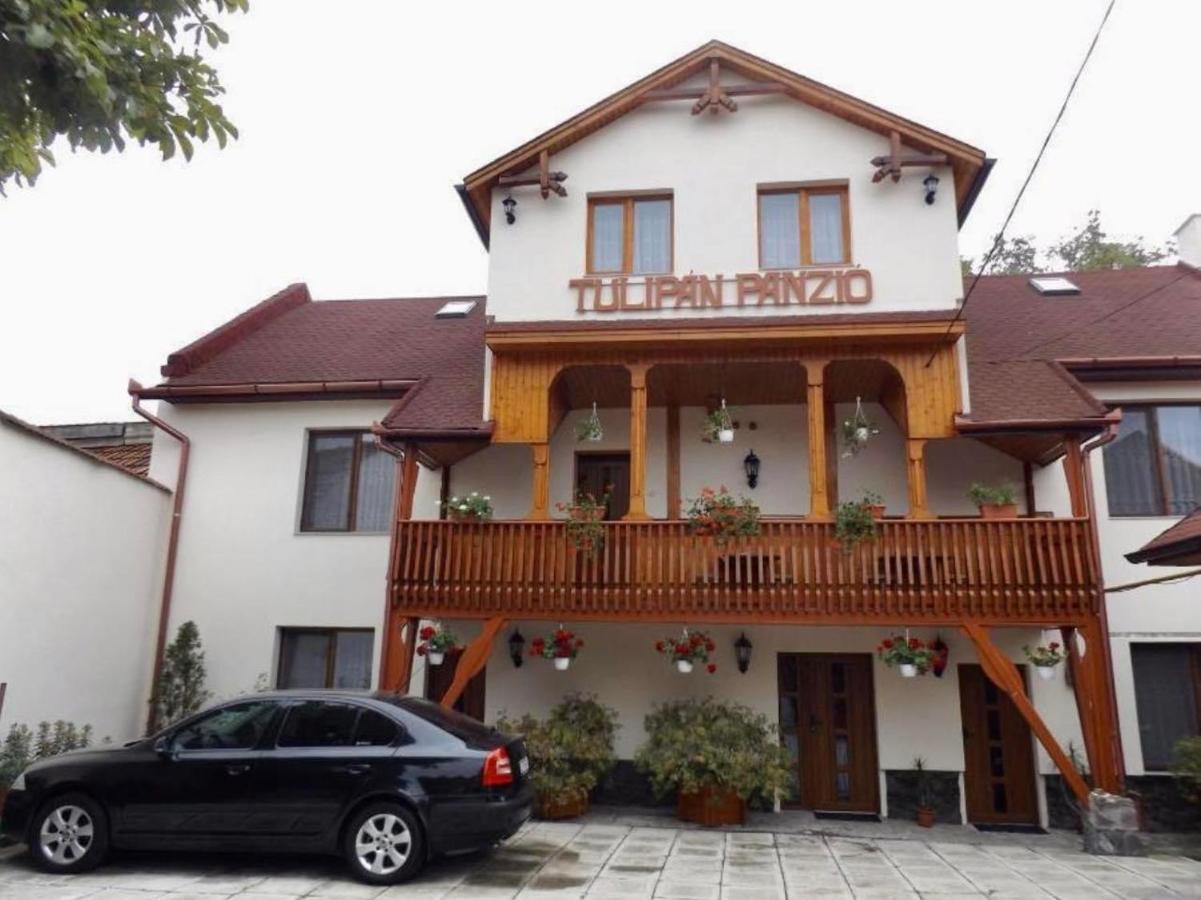 Bed and Breakfast Tulipan Panzio Sfântu-Gheorghe Zewnętrze zdjęcie
