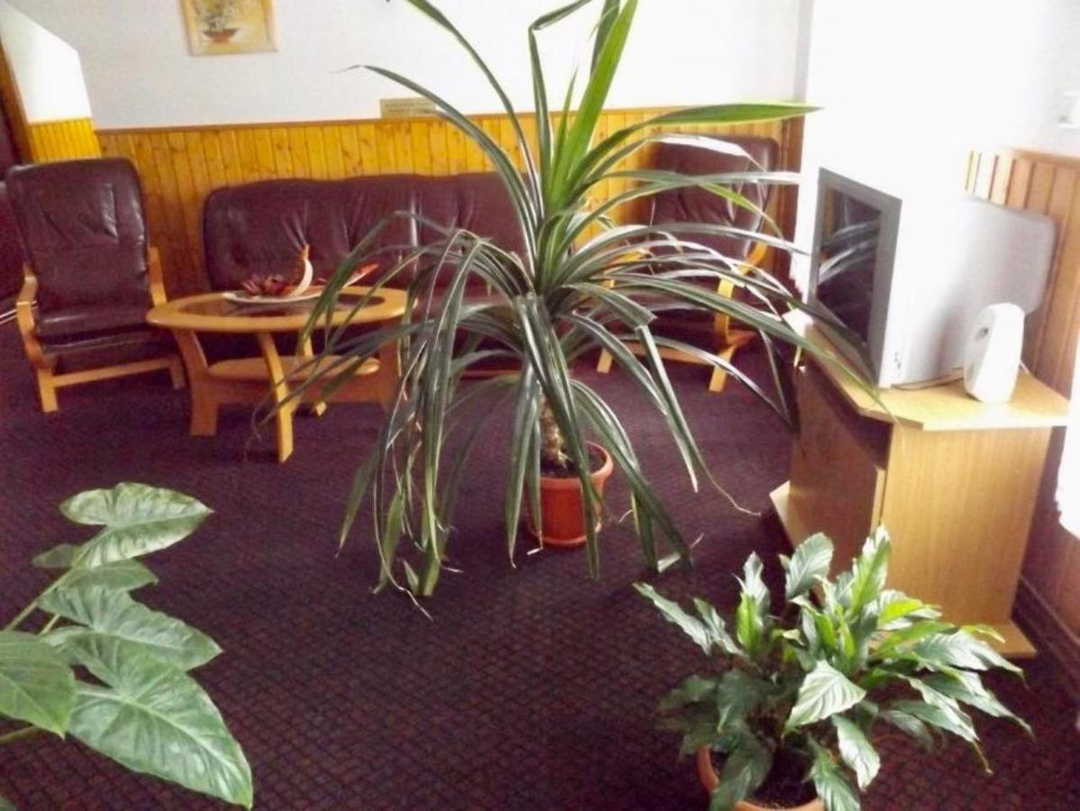 Bed and Breakfast Tulipan Panzio Sfântu-Gheorghe Zewnętrze zdjęcie